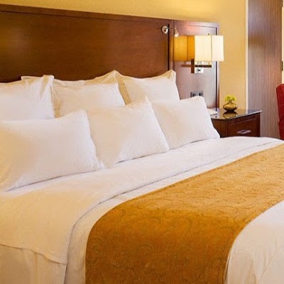 Minneapolis Airport Marriott, Bloomington, United States of America