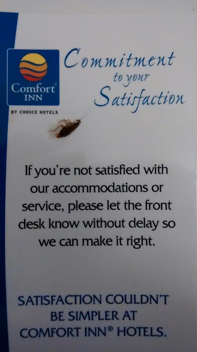 Comfort Inn Airport, South Portland, United States of America