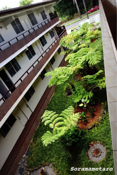 Hilo Seaside Hotel, Hilo, United States of America