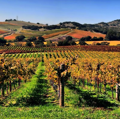 Chablis Inn, Napa, United States of America