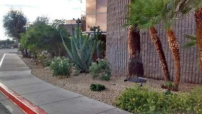 The Metro Plaza Hotel, Phoenix, United States of America