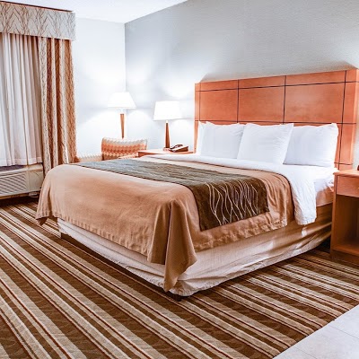 Comfort Inn Metro Airport, Romulus, United States of America
