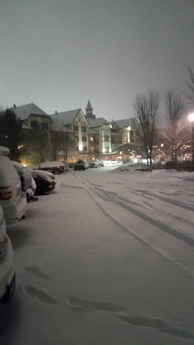 BOYNE MOUNTAIN LODGE, Boyne Falls, United States of America
