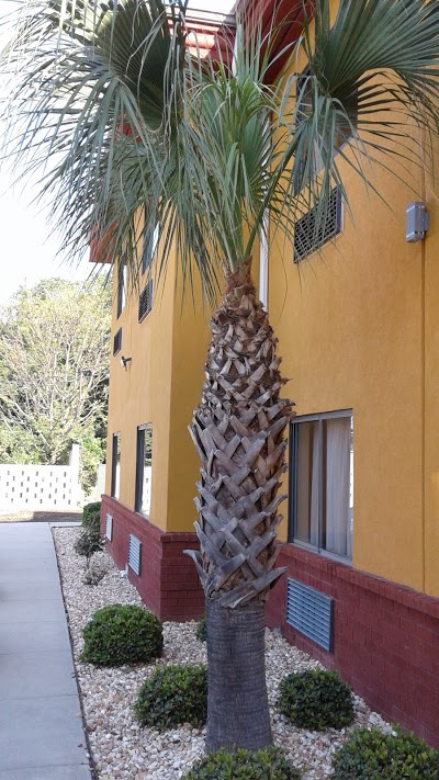 Western Motel Inn and Suites Hazlehurst, Hazlehurst, United States of America