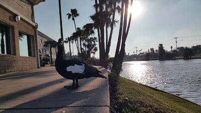 Holiday Inn Brownsville, Brownsville, United States of America