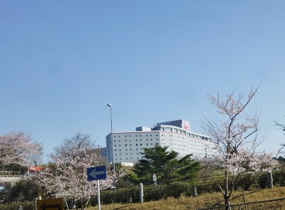 Hotel Nikko Narita, Narita, Japan