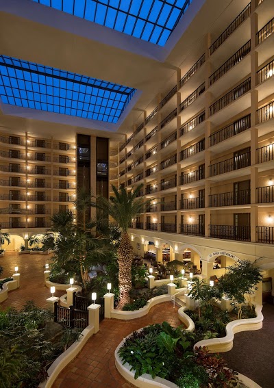 Sheraton Suites Tampa Airport Westshore, Tampa, United States of America