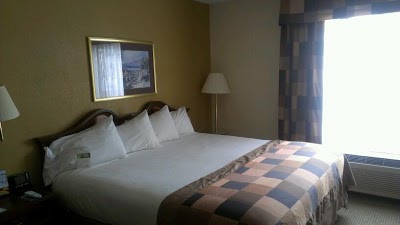 Wingate by Wyndham - Raleigh, Raleigh, United States of America
