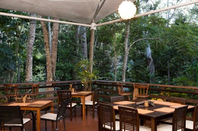 Cedar Park Rainforest Resort, Koah, Australia