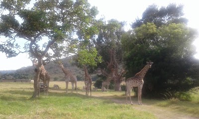 Buffalo Hills Game Reserve & Lodges, Plettenberg Bay, South Africa