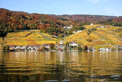 Fontana, Twann, Switzerland