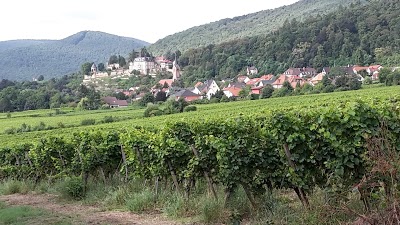 Hotel Tenner, Neustadt an der Weinstrasse, Germany