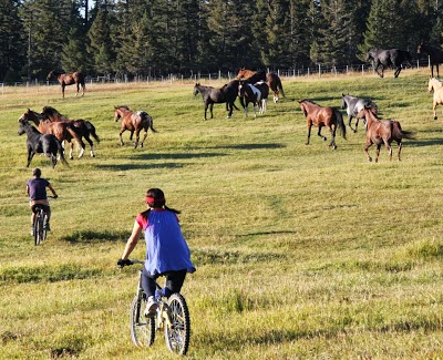 Echo Valley Ranch And Spa, Jesmond, Canada