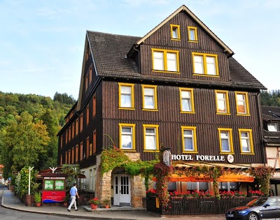 Ferienhotel Forelle, Thale, Germany
