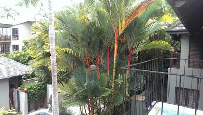 Monsoon Villa B, Port Douglas, Australia