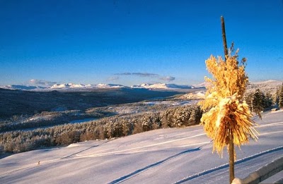 Dalseter H, Sor-Fron, Norway