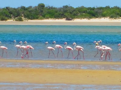 NYATI BEACH LODGE, VILANCULOS, Mozambique