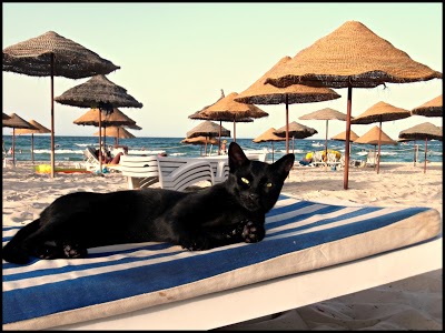 Hotel Riadh Sousse, Sousse, Tunisia