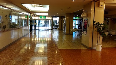 Nakamachi Fuji Grand Hotel, Aizuwakamatsu, Japan