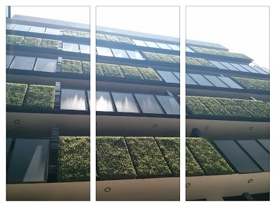 Las Suites, Mexico City, Mexico