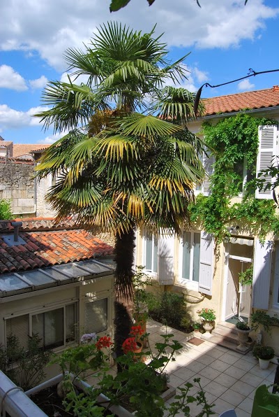 Roca Fortis, Rochefort, France