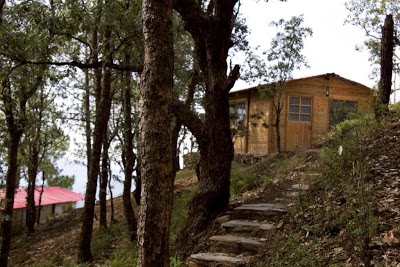 Aamod Resort - Shoghi, Shoghi, India