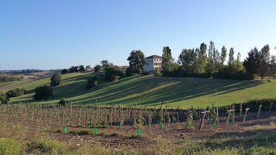 Aube Nouvelle, Durfort-Lacapelette, France