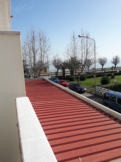 Narcisi, Roseto degli Abruzzi, Italy