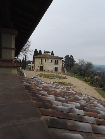 Tenuta Pizzogallo, Amelia, Italy