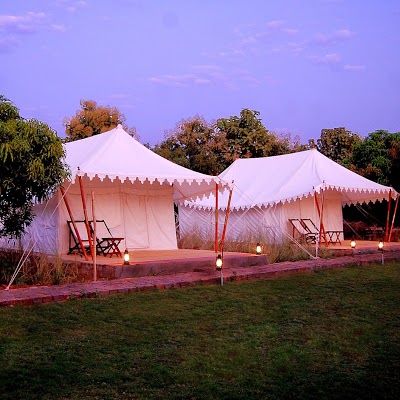 Abrar Palace & Jungle Camps, Sawai Madhopur, India
