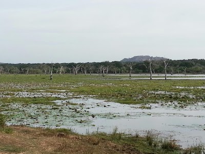 Dalmanuta Gardens, Bentota, Sri Lanka