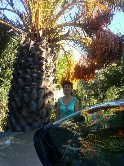 Stamos Hotel, Kassandra, Greece