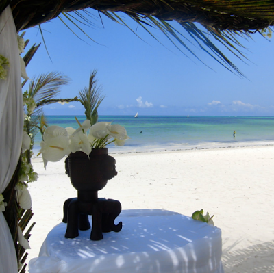 Next Paradise Boutique Resort, Kiwengwa, Tanzania