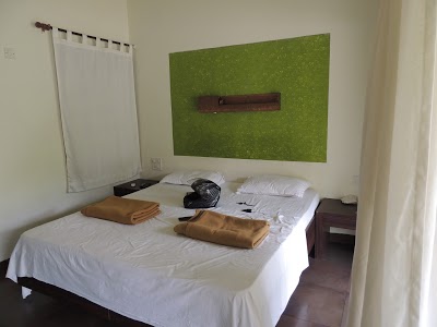 The Banyan Soul, Anjuna, India