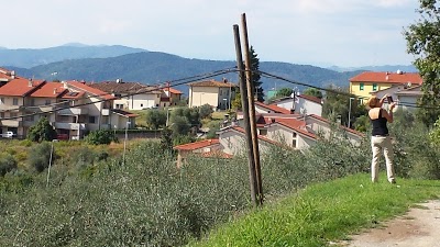 Fattoria Il Peraccio, Pelago, Italy