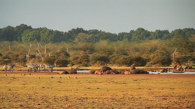 Manyara Wildlife Safari Camp, Arusha, Tanzania