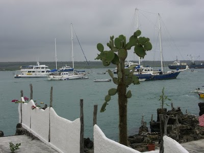 Angermeyer Waterfront Inn, Puerto Ayora, Ecuador