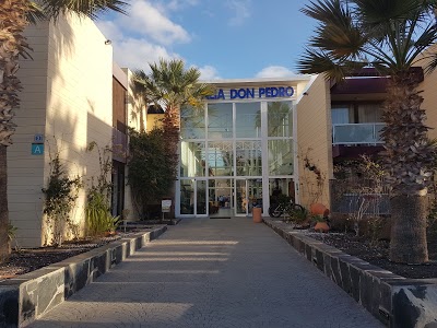Hotel Palia Don Pedro, Arona, Spain