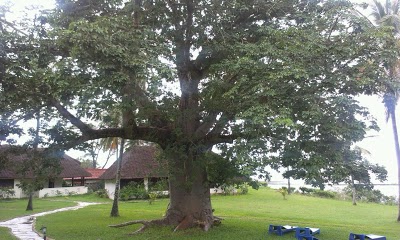 Hill Park Hotel - Tiwi Beach, Tiwi, Kenya