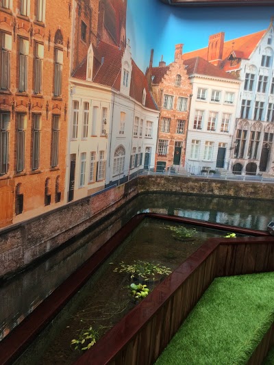 B&B Bariseele, Bruges, Belgium