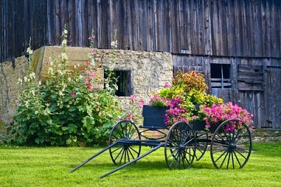 WAGON WHEEL INN, Petal, United States of America