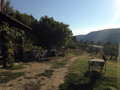 Azienda Agricola Colle Paradiso, Mompeo, Italy