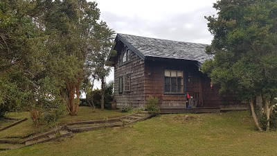 Campo Kutral, Llanquihue, Chile