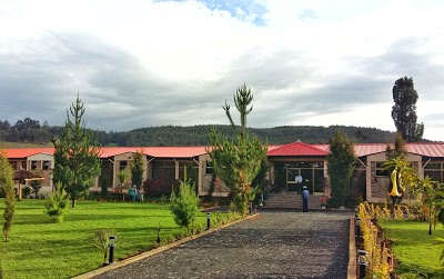Yaya Africa Athletics Village, Sululta, Ethiopia
