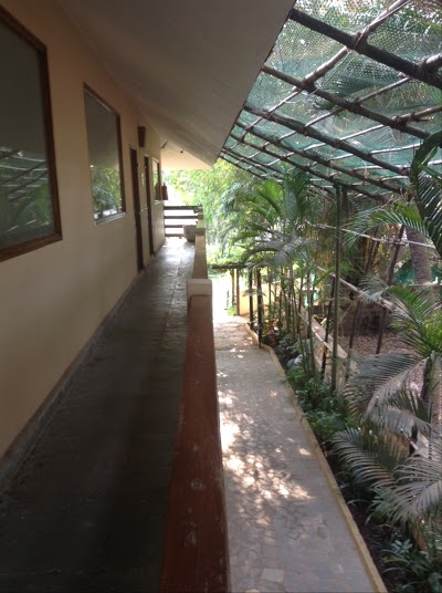 The Clematis, Candolim, India