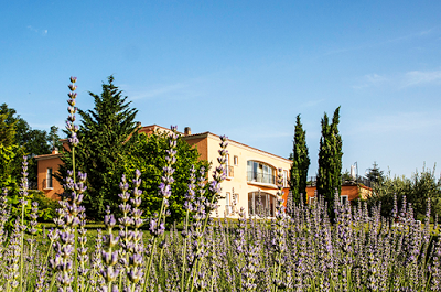 Hotel Villa Di Carlo, MONTE GRIMANO TERME, Italy