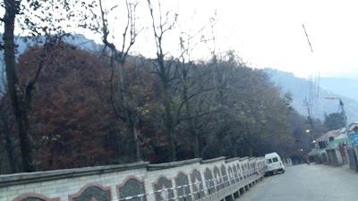 Hotel Manali Mahal, Manali, India
