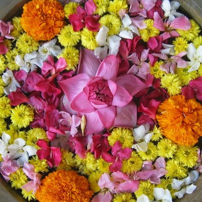 Ayur Bay Beach Resort, Thiruvananthapuram, India