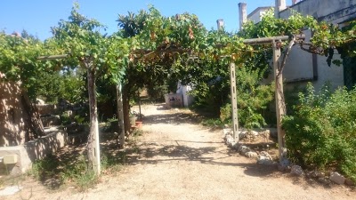 Azienda Agricola Francesca Stajano, Alezio, Italy
