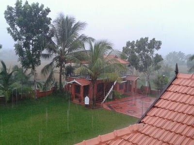 Green Fields, Kumarakom, India